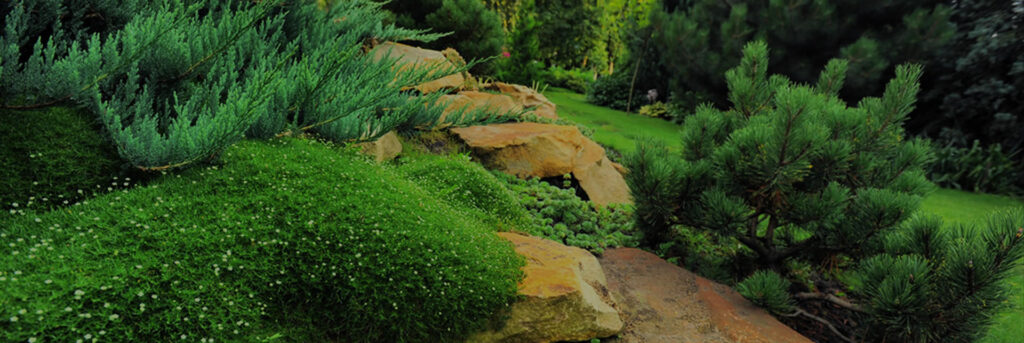 rock garden
